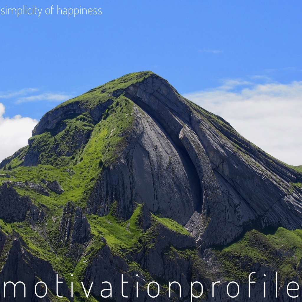 motivation profile