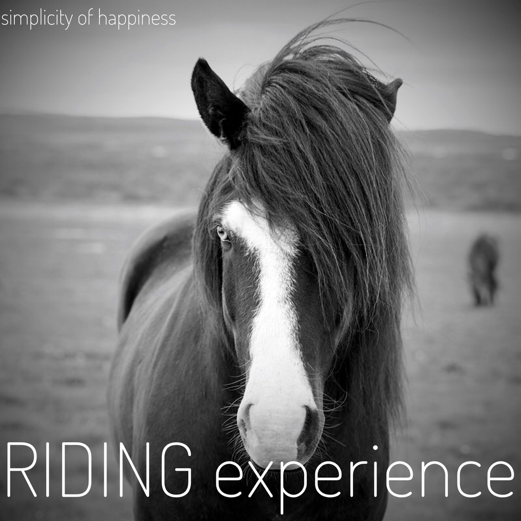 riding experience square